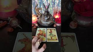 Knight of Wands & The Hanged Man #tarot #fortunetelling