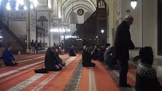 People Are Praying in Mosque | Free Islamic Stock Footage