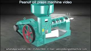 Peanut oil press machine 3D animation video, single screw groundnut oil expeller machine for sale