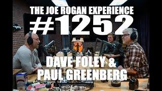 Joe Rogan Experience #1252 - Dave Foley & Paul Greenberg