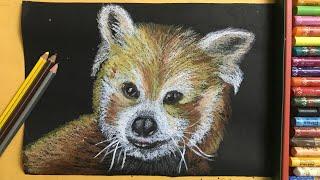 painting red pandas for beginners step by step | Simple Techie Artist