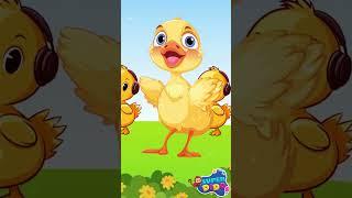كاكى كاك  | اغاني اطفال  | بيبي | عبد المنعم مدبولى | سوبر ديدو | بطة أطا الانتيكا