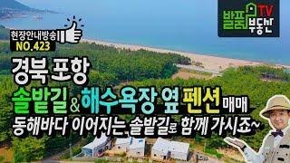 경북 포항 힐링 솔밭 산책로 해수욕장 펜션 매매 동해바다로 이어지는 솔향기와 함께하는 포항부동산 - 발품부동산TV