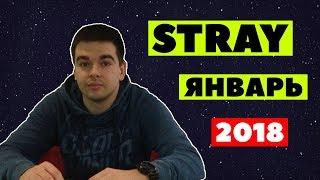 Stray - лучшие моменты / январь 2018