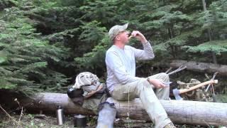 Forest Bushcraft Camp Part 1 - Wilderness Bug Out Location ?