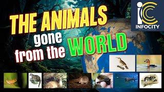 The Animals that have gone extinct from the world 