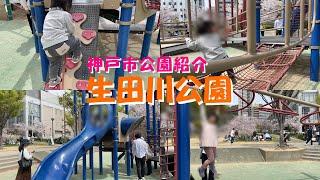 【神戸市公園紹介】生田川公園 布引 若葉通 花見 桜 中央区 神戸市 子連れ 幼児