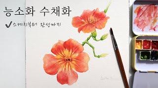 [ENG] 능소화 수채화- 스케치부터 완성까지| Watercolor Painting Tutorial