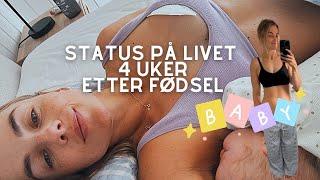 BIG NEWS OG BABYLIFE PÅ HYTTA