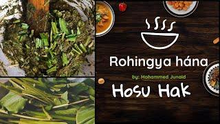 Hosu Hak | rohingya #hana #zitatv