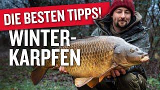 Karpfenangeln im Winter: DIESE TIPPS machen den Unterschied! ️