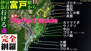 【東伊豆】富戸駅から行ける磯・パーフェクトガイド【#おきらく釣行】