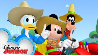 Mickey Mouse Looks for Farm Animals | Mickey Mornings | Mickey Mouse Clubhouse | @disneyjr