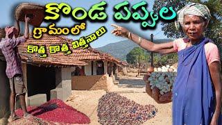 ఆదివాసుల అడవిపప్పులు | Hill dal tribal village|Gangavaram @TribalMirror