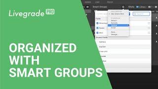 Livegrade - Smart Groups: Structure Your Library