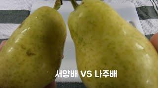 오늘간식 2. 서양배 VS 나주배 :: 하루간식#2