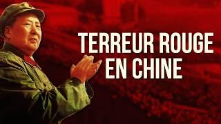 Pourquoi Mao Zedong a-t-il semé le chaos lors de la Révolution culturelle ?  [QdH#65]