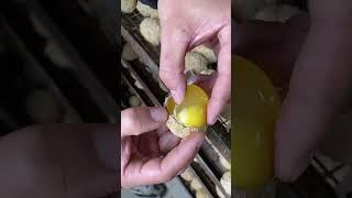 femas street food Asian food   #foryoupage #foodvlogge #foodvlogger #foodie