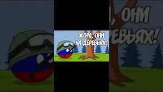 Жора,они на деревьях!