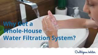 Why Get a Whole-House Water Filtration System? | Culligan