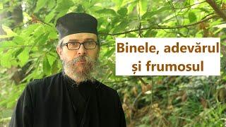 Binele, adevărul și frumosul - p. Teologos