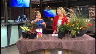 BT Winnipeg - Green Thumb Part 2 08.06.2013