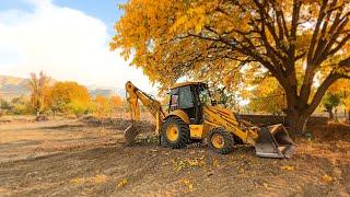 ️Backhoe Driver Digging Under tree️Great Job 