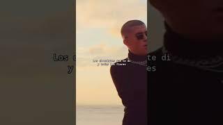 Amorfoda - Bad Bunny