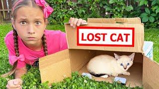 The kitten is lost! Sofia is building a playhouse for a pet