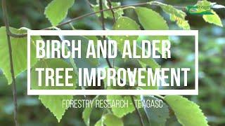 Oliver Sheridan, Forestry Development Department Teagasc, Ireland