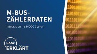 Integration von M-Bus-fähigen Zählerdaten ins HOOC-System