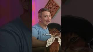 Кто уничтожил Париж?