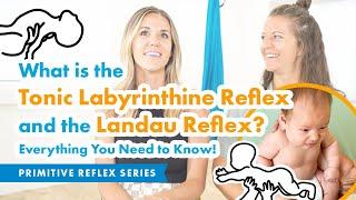 What is the Tonic Labyrinthine Reflex (TLR) and the Landau Reflex? Everything You Need to Know!