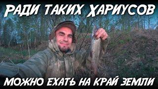 Ради таких хариусов можно ехать на край земли