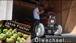 Jakob Fischer Äpfel im Einzelhandel | Klaräpfel schütteln | Wartung am 533 | StreuobstVLOG #100