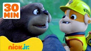 Крепыш и команда | ЛУЧШИЕ постройки Крепыша! | 30 минут | Nick Jr. Cyrillic