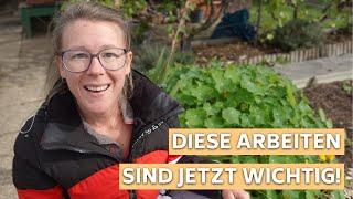 Garten-Checkliste für den Oktober: 5 Dinge, die du jetzt tun musst!