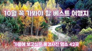 10월에 가볼만한곳 | 풍경사진 여행명소  포인트정보 42 / landscape photography