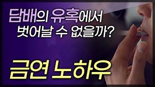 금연을 하는 확실한 방법 / 니코틴 중독에서 벗어나는 금연 노하우 / 60가지 이상의 발암물질을 가진 담배 / 부산MBC TV닥터인사이드 150215 방송