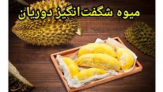 میوه شگفت‌انگیز و جالب دوریان که خواص درمانی آن راه نمی دانستید..