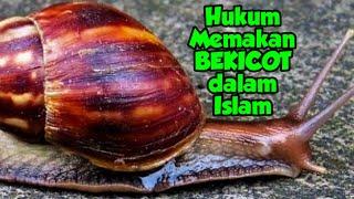 [Tanya Jawab] Hukum Memakan Bekicot dalam Islam ‼️