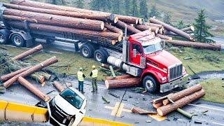 Extreme Dangerous Transport Skill Operations Oversize Truck | Dangerous Tree Harvester #1