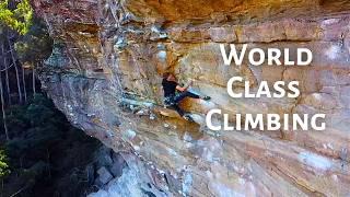 World Class Climbing in AUSTRAILIA? - The Blueys!