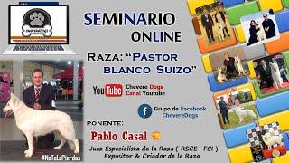 PASTOR BLANCO SUIZO | SEMINARIO ONLINE | FEAT. PABLO CASAL | #CHEVEREDOGS