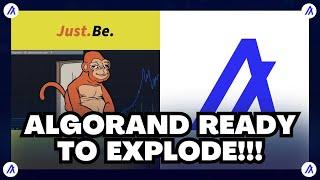 THE NEXT 5 YEARS FOR #ALGORAND WILL BE EPIC! + A LOOK AT QUANTUM PROOF MEMES!