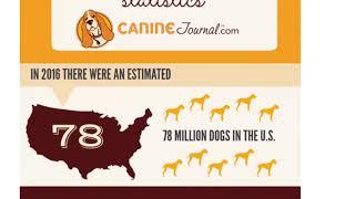 Canine Journal’s Deceptive Misuse of Statistics