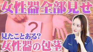 【女性器を丸裸に】9割の人が知らない女性器の包茎について女医が解説