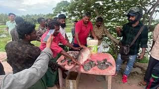 VELLAYANI LAKE | Fishing Video | GIANT KATLA FISH // 6 KG - 04.05.2023