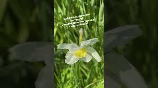 Мастер-классы по живописи - вдохновение и радость. Запись на занятие  ￼8 902 870 33 19 Екатеринбург
