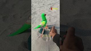 Rc smart parrot toy testing